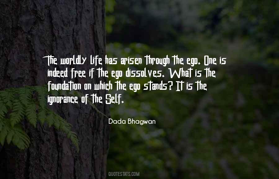 Spiritual Ego Quotes #174233