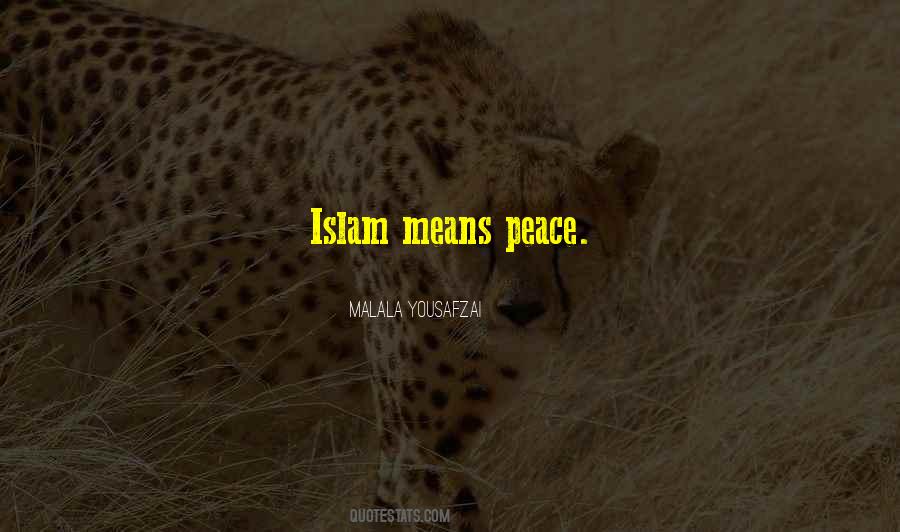 Best Islam Quotes #151052