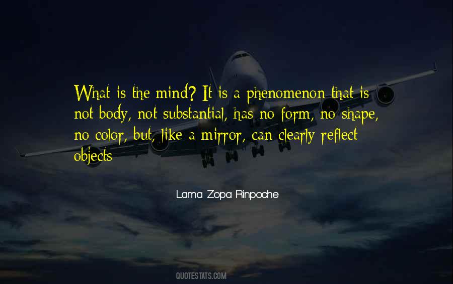 Objects In The Mirror Quotes #1635021