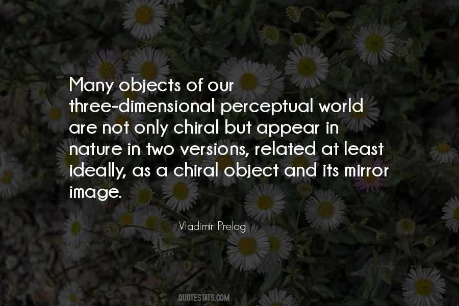 Objects In The Mirror Quotes #251976