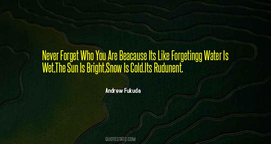 Never Forget Who You Are Quotes #1119475