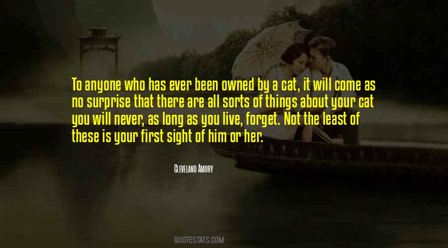 Never Forget Who You Are Quotes #943375