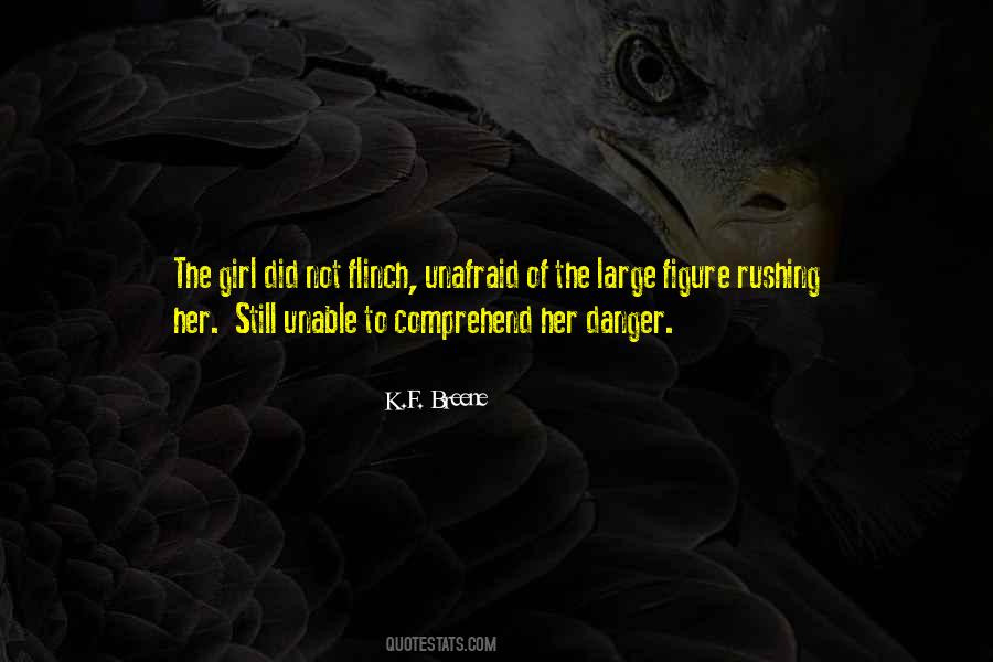 Danger Girl Quotes #230936