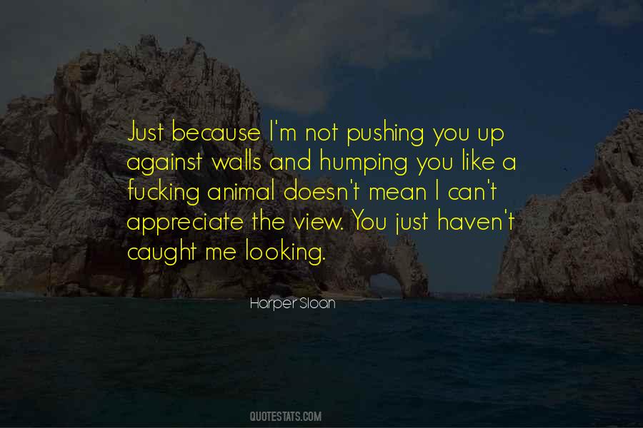 You Appreciate Me Quotes #163552