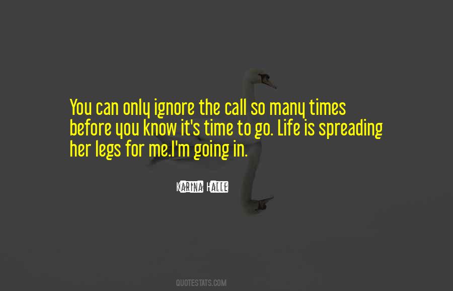 Go For It Life Quotes #1058079