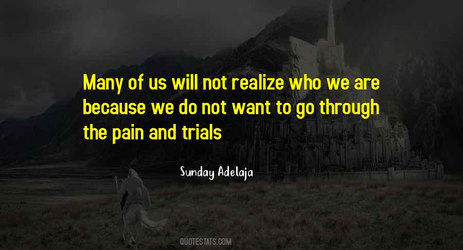 Go Through The Pain Quotes #361476
