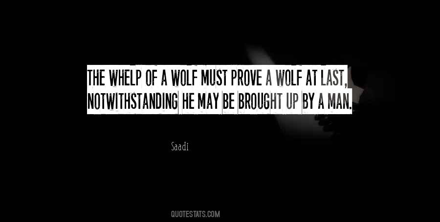 Man Is A Wolf To Man Quotes #800468