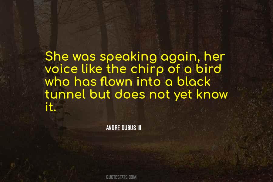Does She Know Quotes #539344