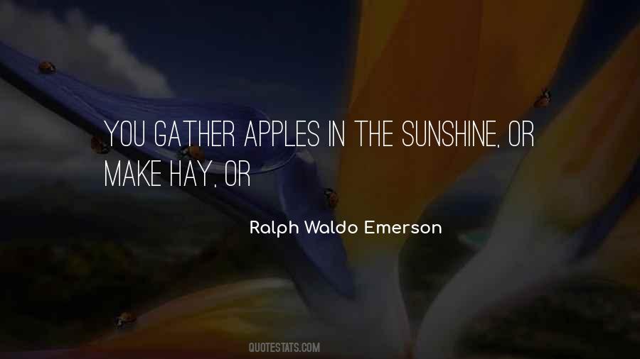 In Sunshine Quotes #29630