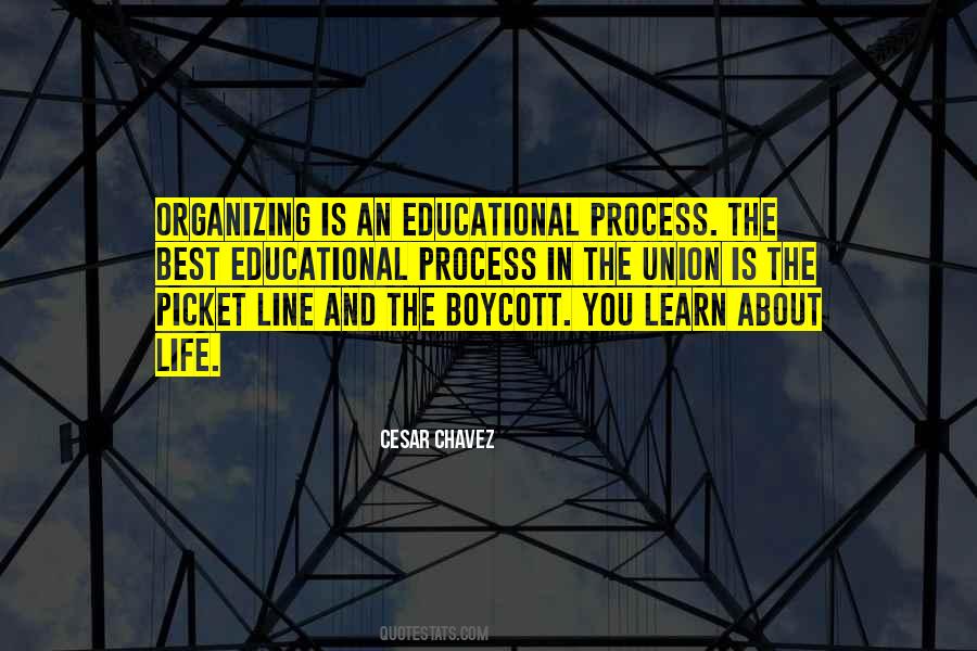 Best Cesar Chavez Quotes #1664807