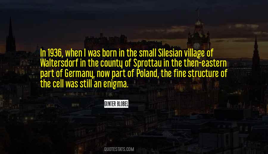 Italicized Vs Quotes #113369