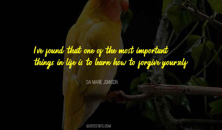 Lessons To Learn Quotes #915107