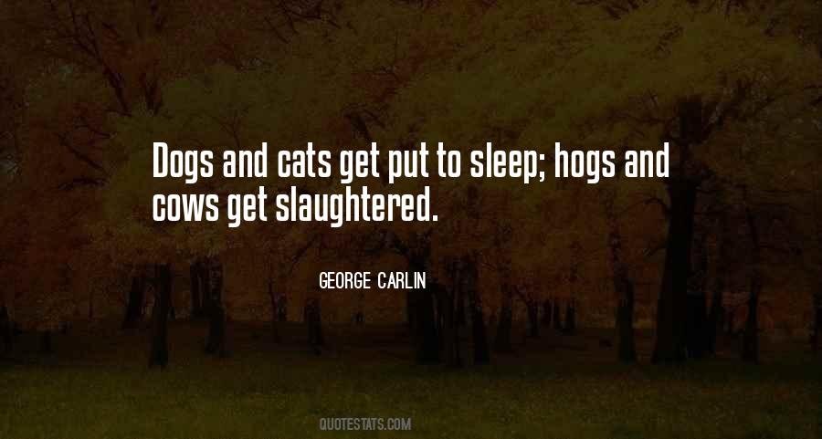 Dog And Cat Quotes #1182964