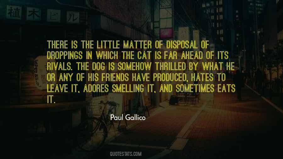 Dog And Cat Quotes #458783