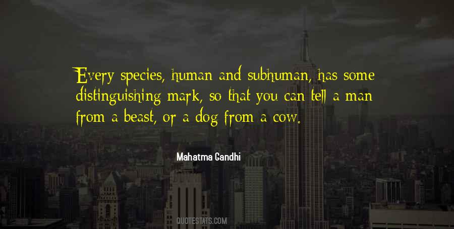 Dog And Human Quotes #1382396