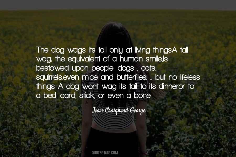 Dog And Human Quotes #1534303