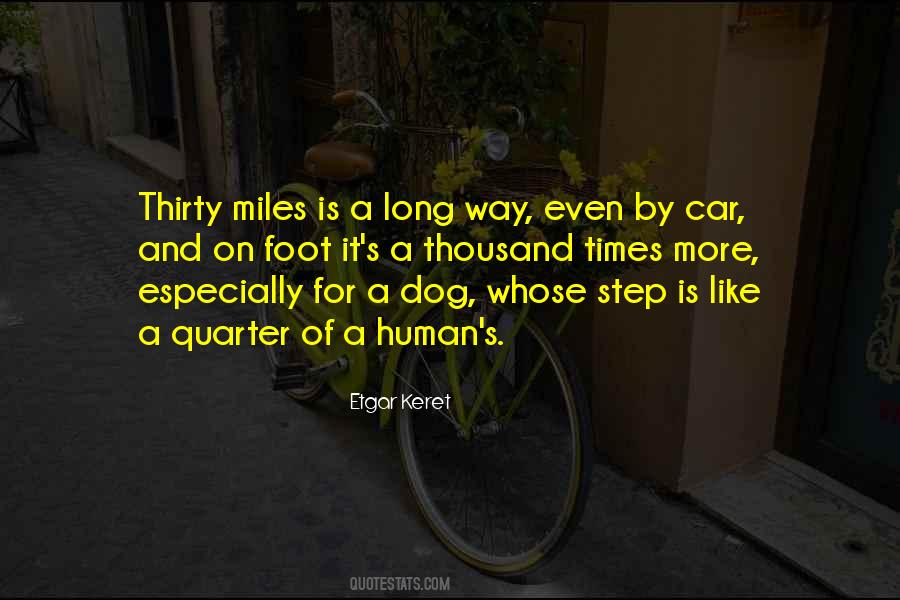 Dog And Human Quotes #683058