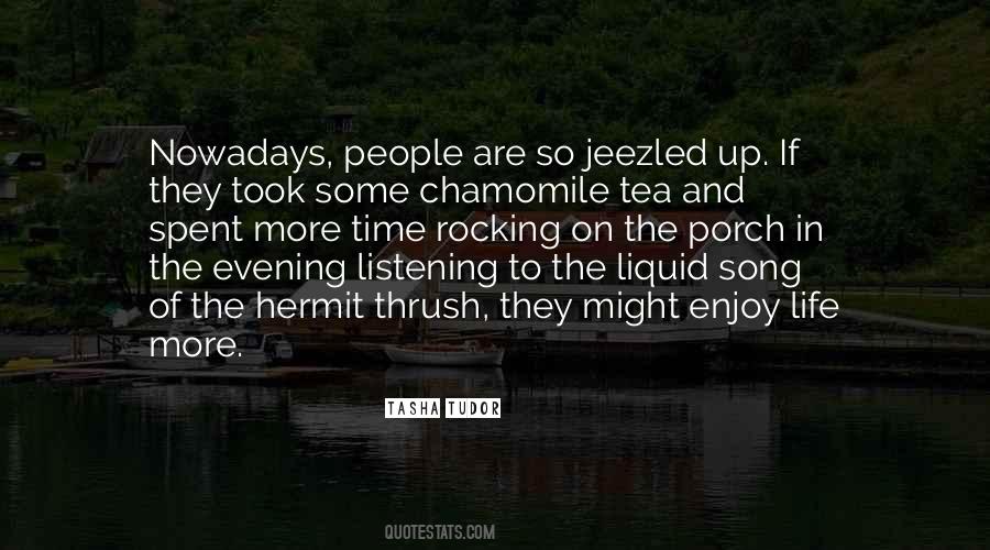 Enjoy Your Evening Quotes #718302