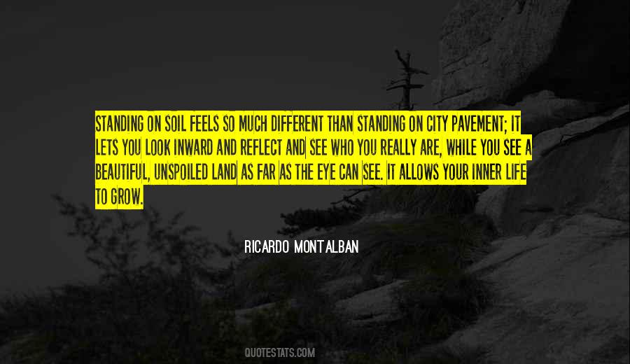 Reflect On Your Life Quotes #594527