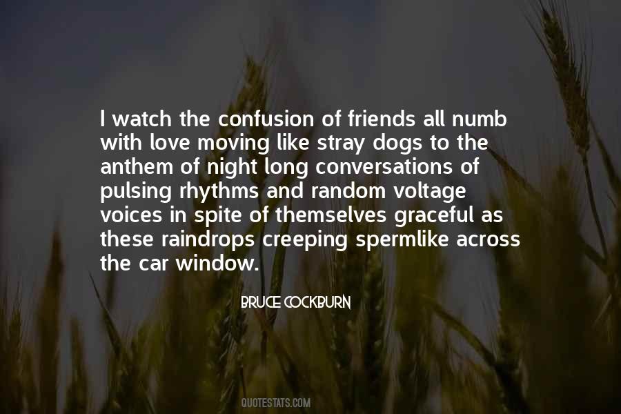 Dog In Car Quotes #681990