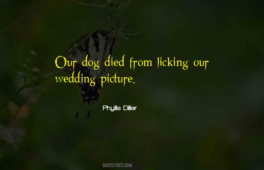 Dog Licking Quotes #683330