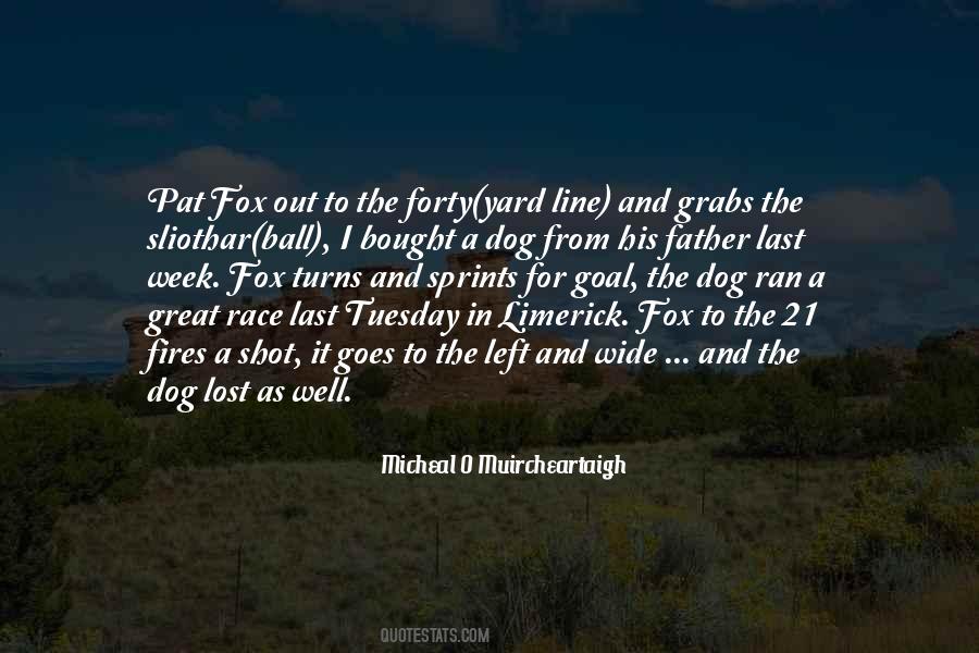 Dog Lost Quotes #479597