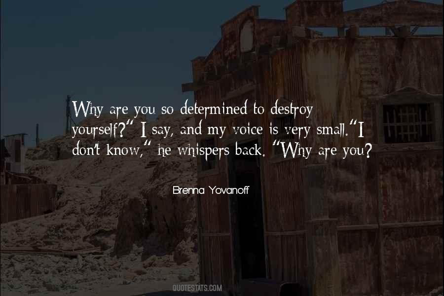 You Are So Determined Quotes #1232477