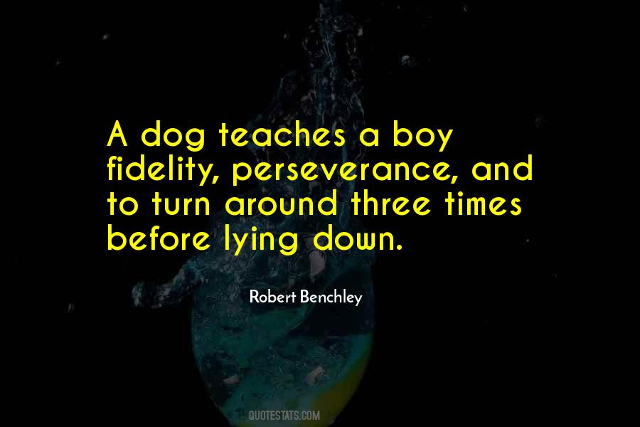 Dog Pets Quotes #1656495