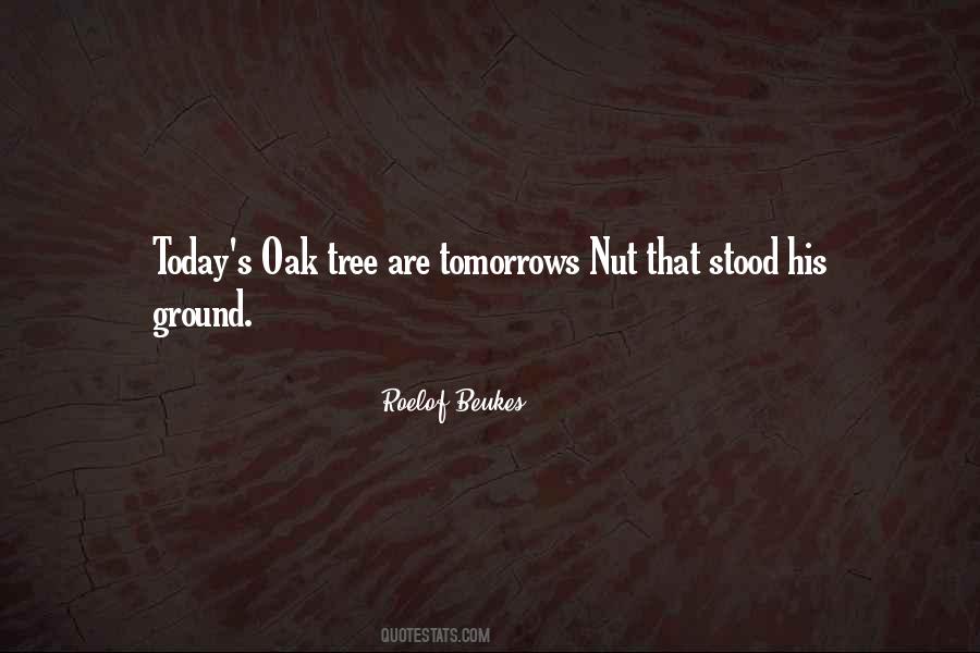Birthday Wishes For Niece Quotes #1064370