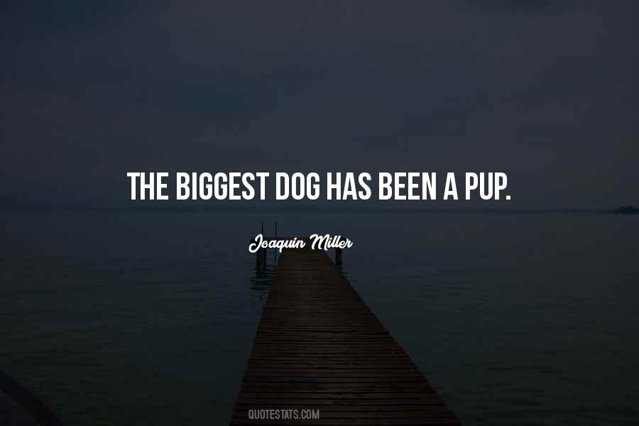 Dog Puppy Quotes #455129