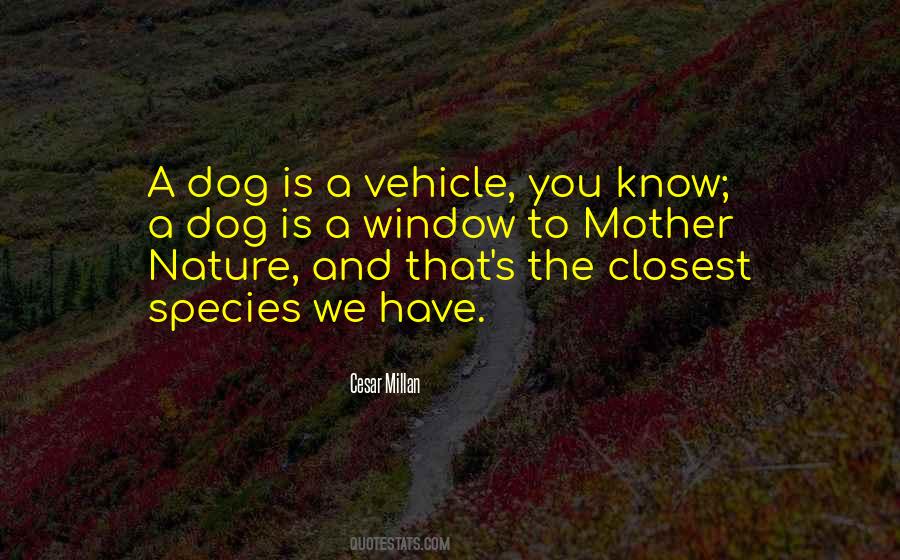 Dog Quotes #1746722