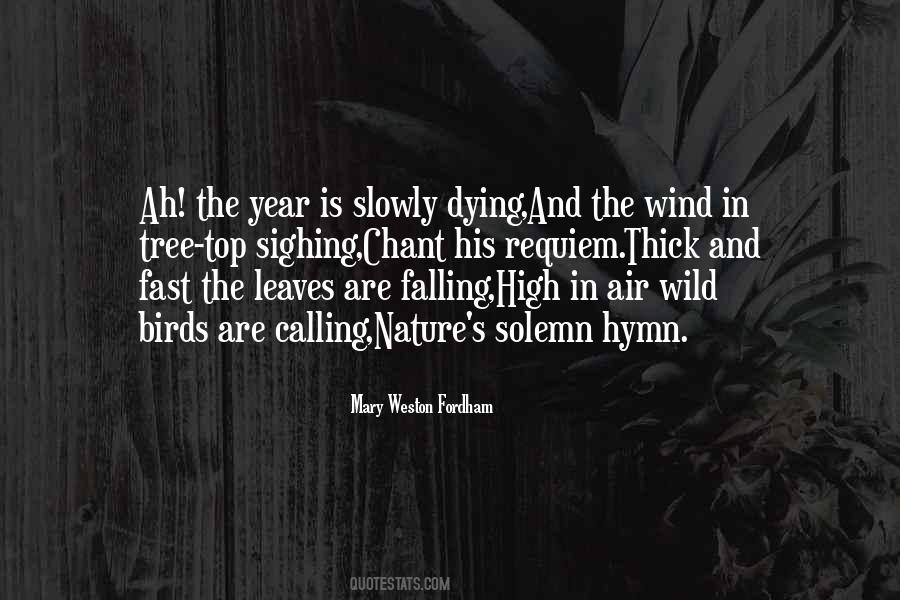Falling Tree Quotes #246259