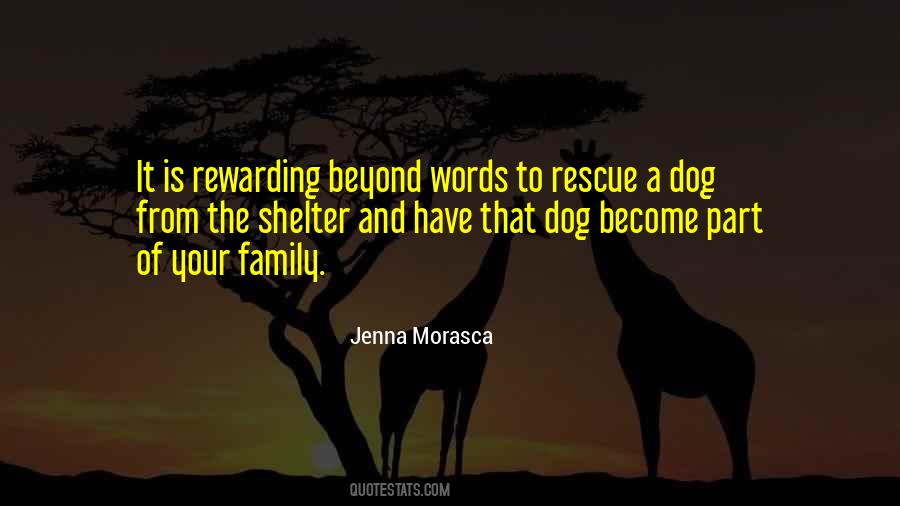 Dog Shelter Quotes #125681