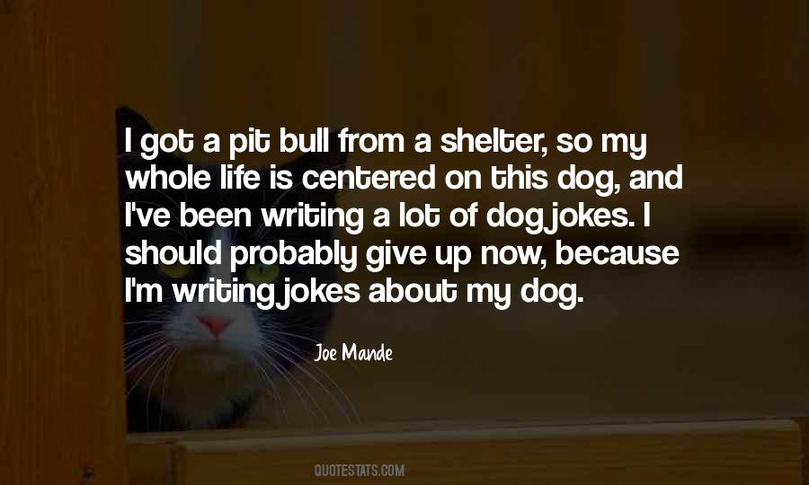 Dog Shelter Quotes #1803336