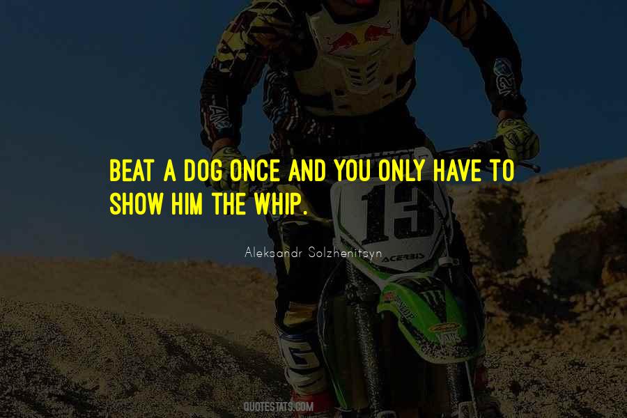 Dog Show Quotes #609867