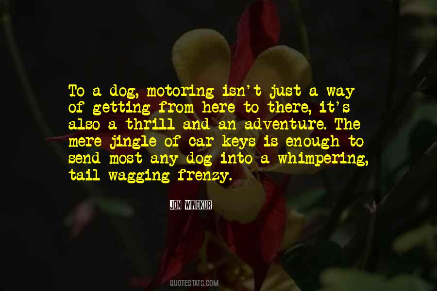 Dog Tail Wagging Quotes #1742624