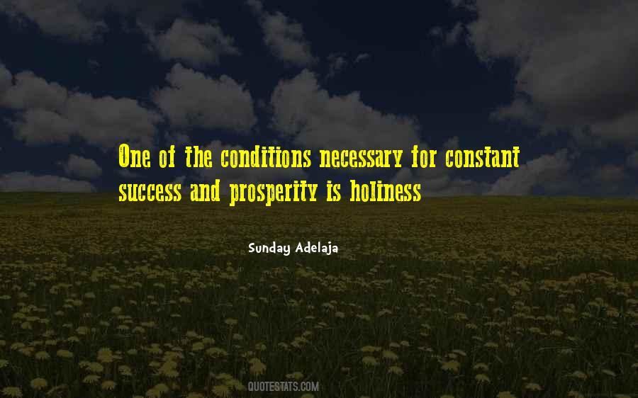 Success Wealth Quotes #1091076
