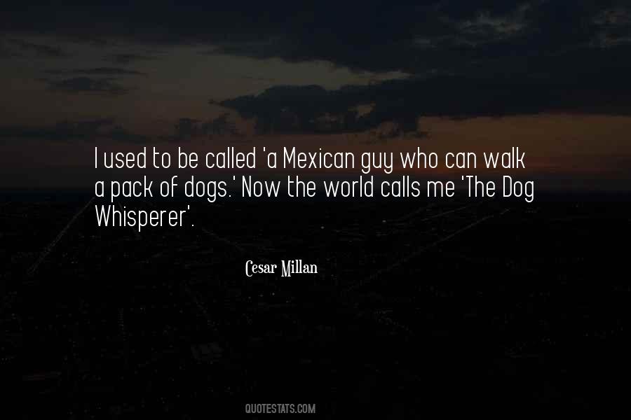 Dog Whisperer Quotes #1036548