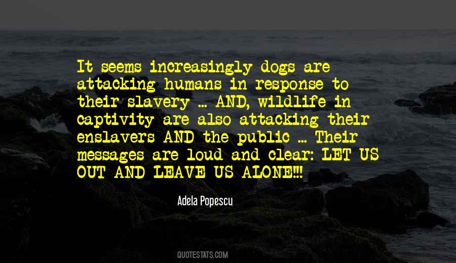 Dogs And Humans Quotes #956582