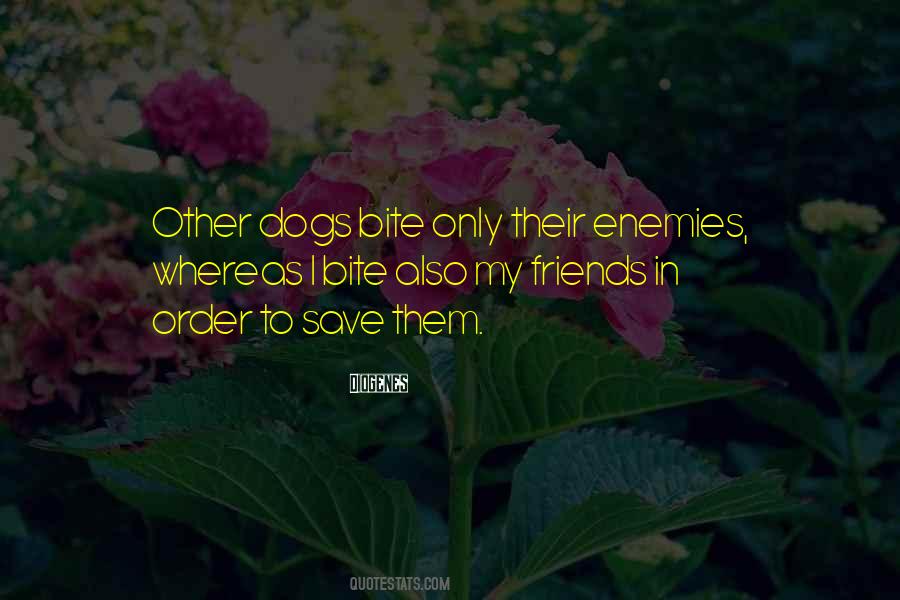 Dogs Bite Quotes #520656
