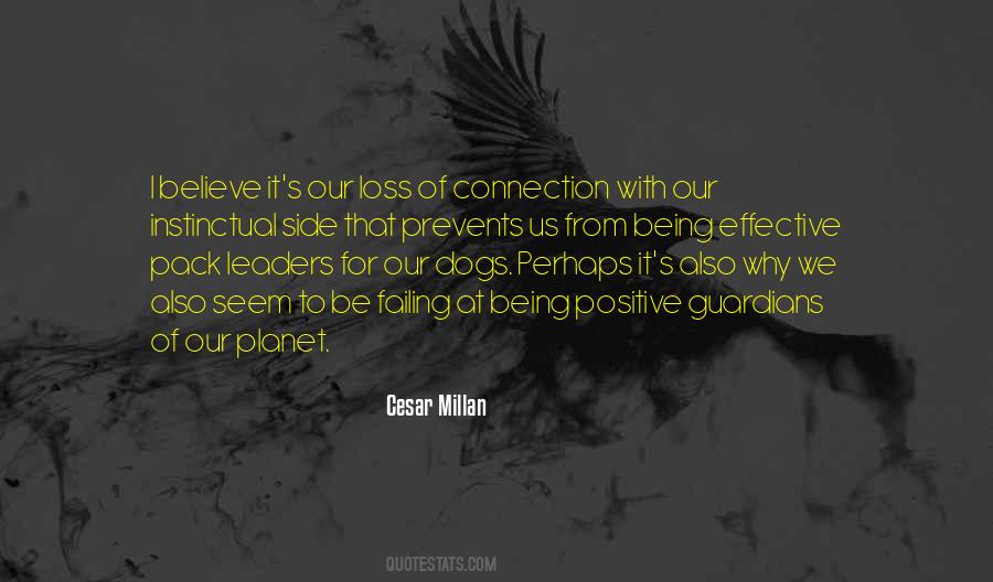 Dogs Love Us Quotes #195992