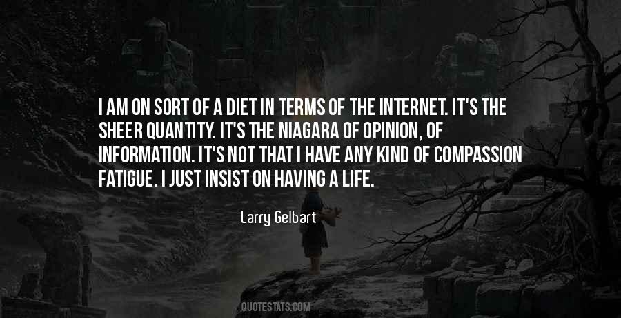 Quotes About Internet Information #683522