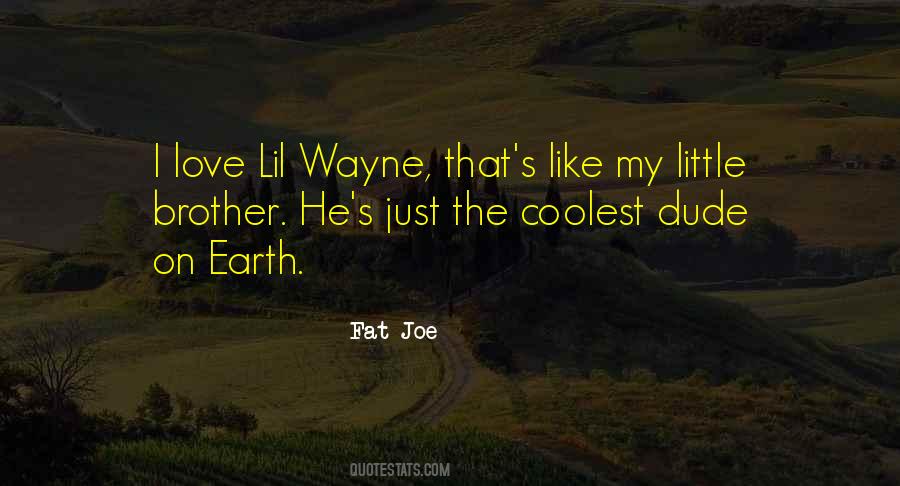I Love You My Little Brother Quotes #396542