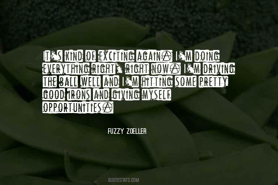 Doing It Myself Quotes #241164