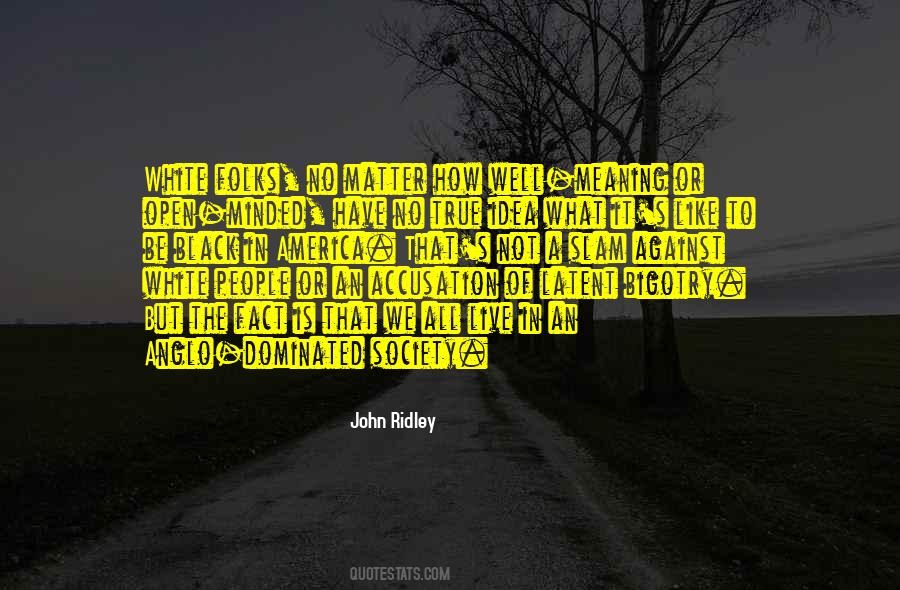 America Is An Idea Quotes #767382