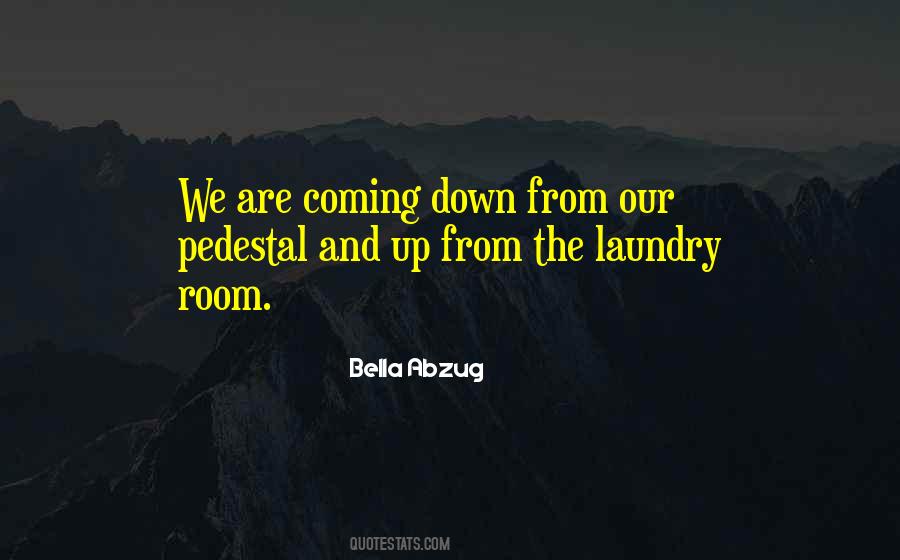 Doing My Laundry Quotes #14663