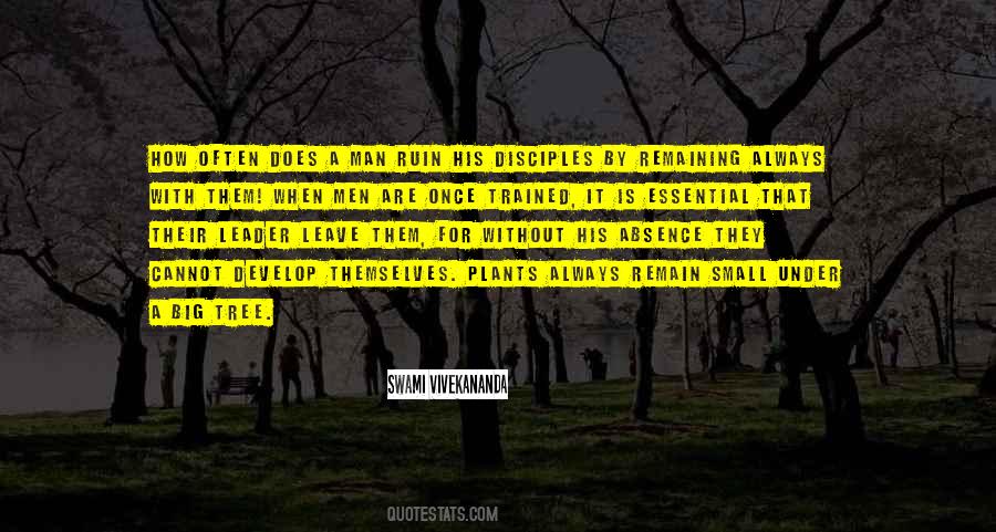 How Big Are Quotes #753710