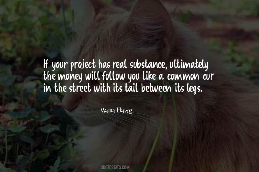 Quotes About The Money Will Follow #1527349
