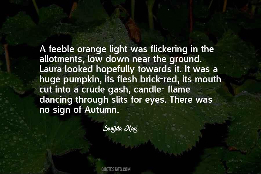 Go Towards The Light Quotes #141422