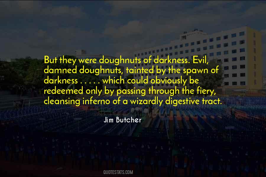 Darkness Evil Quotes #1468680